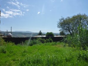 The wall surrounding the compound - Fasil Ghebbi