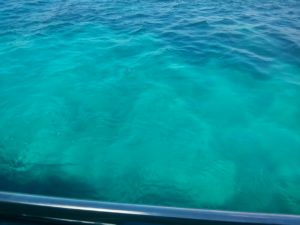 So clear and blue! - Comino