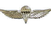 IDF parachute badge