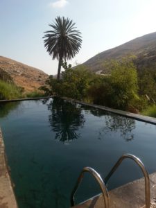 11162013-02 The pool that storage the water from the the upper spring in Wadi Qelt (Ein Prat). There are two more springs down the valley - Ein Maboa and Ein Qalt. Wadi Qelt