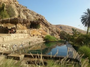 11162013-05 The pool that storage the water from the the upper spring in Wadi Qelt (Ein Prat). There are two more springs down the valley - Ein Maboa and Ein Qalt. Wadi Qelt