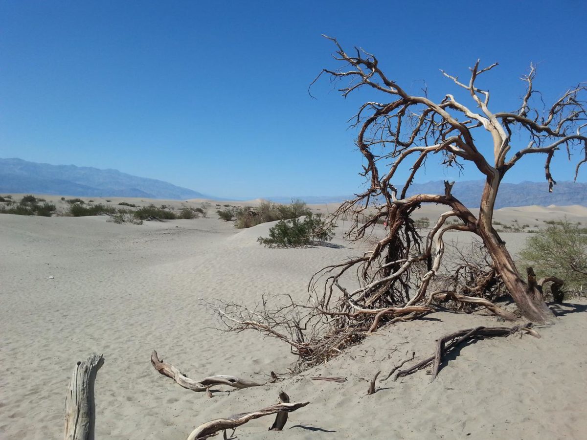 September 4th, 2014 – Desert – Death Valley, California,  USA