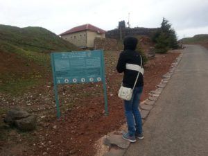 Atzva freezing on the top of Bental Mount - volcanoes