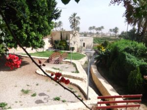 The Garden of the Ein es-Sultan spring - Jericho