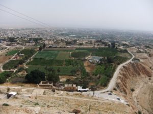 Jericho from Dir al-Cartanel (Monastery of Temptation)