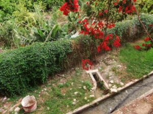 Ein es-Sultan spring (look on the size of the pipe! imagine how much water they pump and how much water keeps flowing!) - Jericho