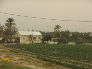 The "Sahlom Al Yisrael" Synagogue building. - Jericho