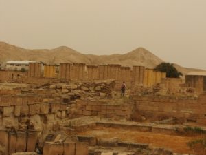 The mosaic in the bath house, and the columns of the bath haouse - Jericho