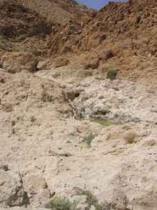 A wadi in the desert but still, some water left after a good rain