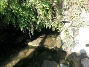 The first spring. The spring itself is running in a smell tunnel, and below it there is a cave that was used as a cemetery. - Shuqba cave