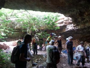 Another nice cistern with a fig tree growing inside it. - Shuqba cave