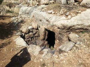 On the Southern slope of the Artaba. - Shuqba cave 