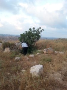 The first site, on top of the hill over Nili