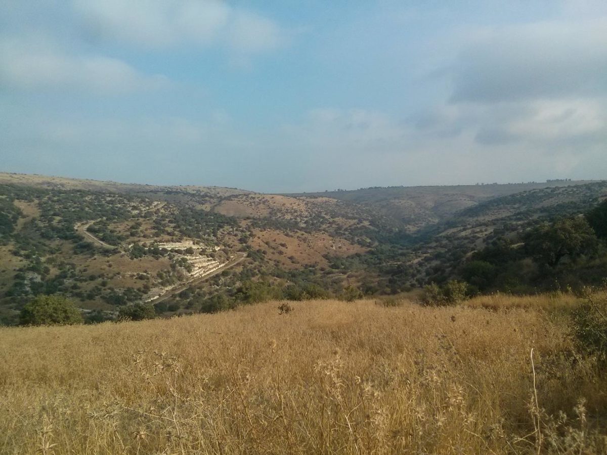 June 27th 2015 – Mezar stream, Israel