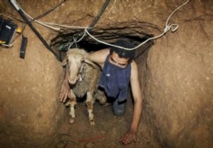 07242014-10s Smuggling - from sheep to wives - Terror tunnels