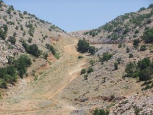 The Hermon Ski resort turn into a site for extreme downhill route. - family trip