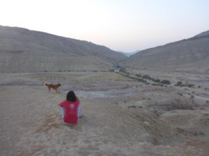 Good morning! Atzva watching the early sky with Mika, the she-dog of the other couple that slept next to us