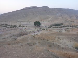 Good morning! - Ein Gedi