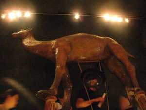 A camel in the Dali museum