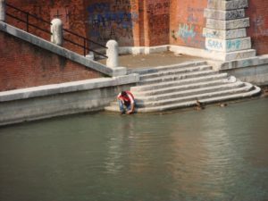 Feeding the ducks on the Adige River - proportion