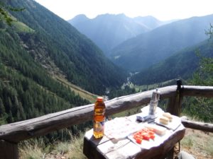 The best table in the nature restaurant