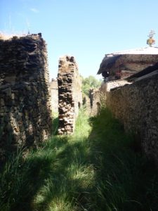 Sixth building - pretty ruin - Fasil Ghebbi