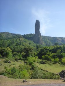 On the way to Bahir Dar - vegetable