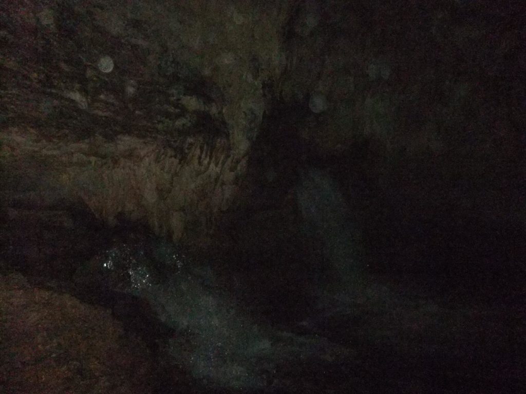 guess -   The stalactite cave with the fountain, behind the Misol-Ha Waterfall