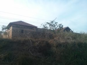 Pardes (Grove) Bahriya and new bridge over the Yarkon - Cannabis