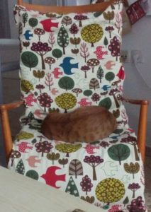 Our cat trying out the new cover for the rocking chair - sewing 