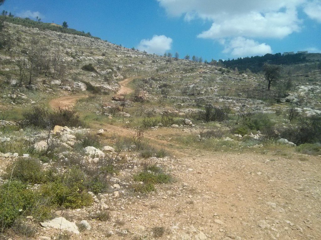 The trail junction - Left to Talmon settlement, right (over the bridge) to Dolev. We went forward, along the stream.   - Dolvim stream