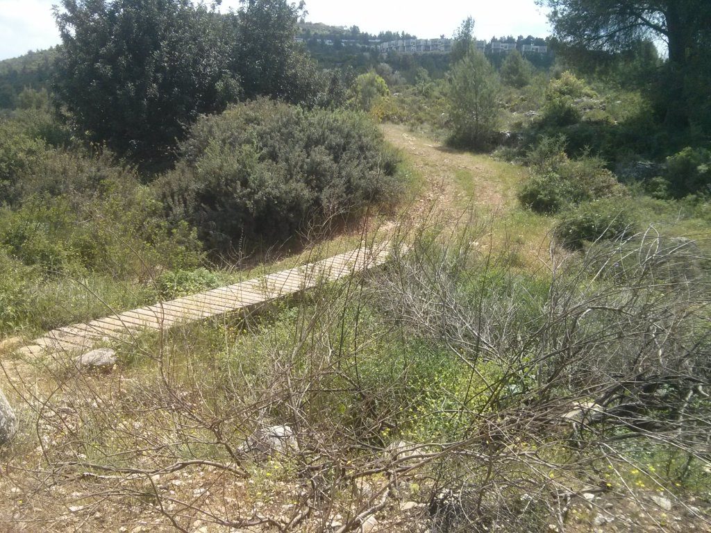 The trail junction - Left to Talmon settlement, right (over the bridge) to Dolev. We went forward, along the stream.   - Dolvim stream