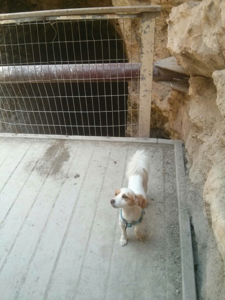   Tel Gezer The water system