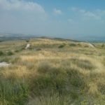 Looking on the site from one edge to the other, and the other way -  Tel Gezer