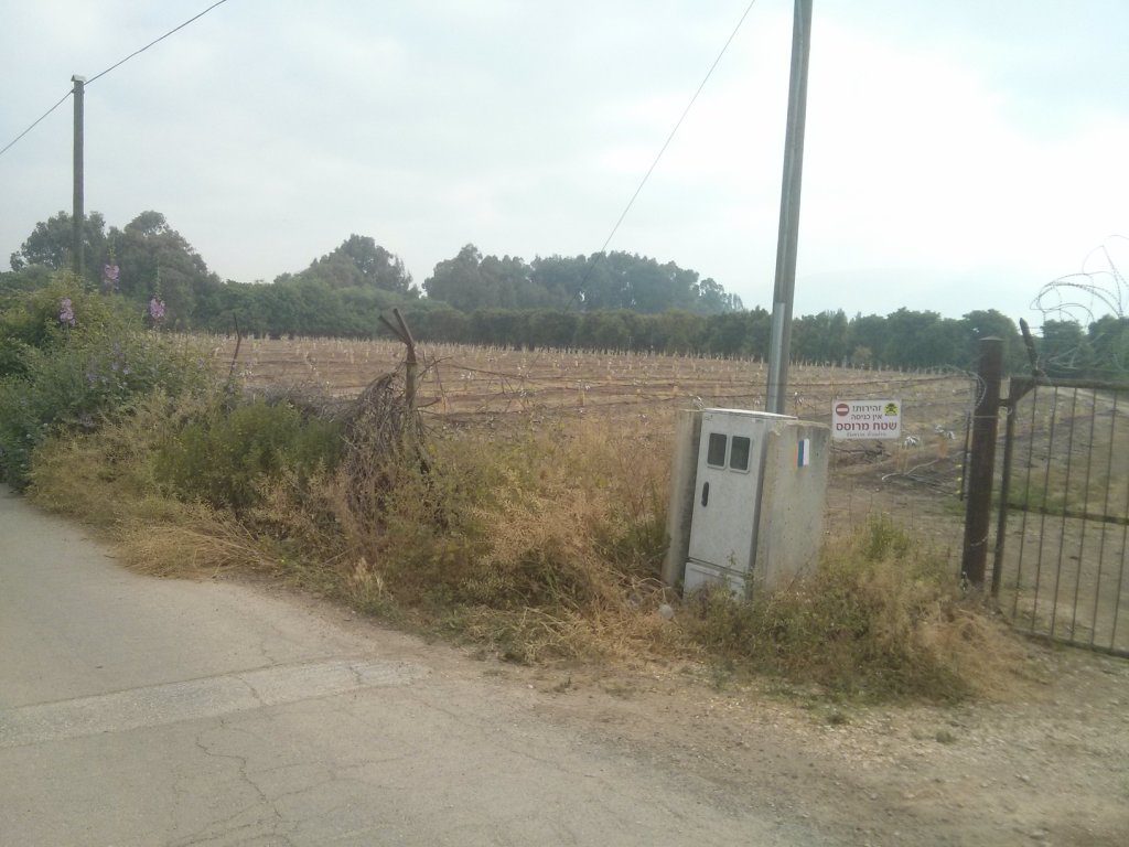 Fruit plantation near the border. What really hold ground isn't the fences but the  farmers that stay in the fields all day. That is why the fields are getting as close as possible to the border. - Windows of time2