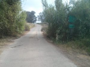 The sign between the trees in the right says "Stop! border in front of you!"...   - Windows of time