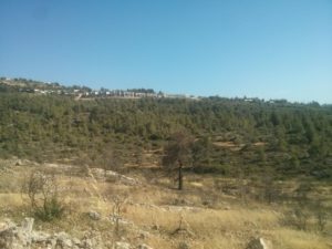 The settlement of Dolev from across the creek