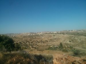 The outskirts of Ramallah and behind them the settlement of Psagot - RZR