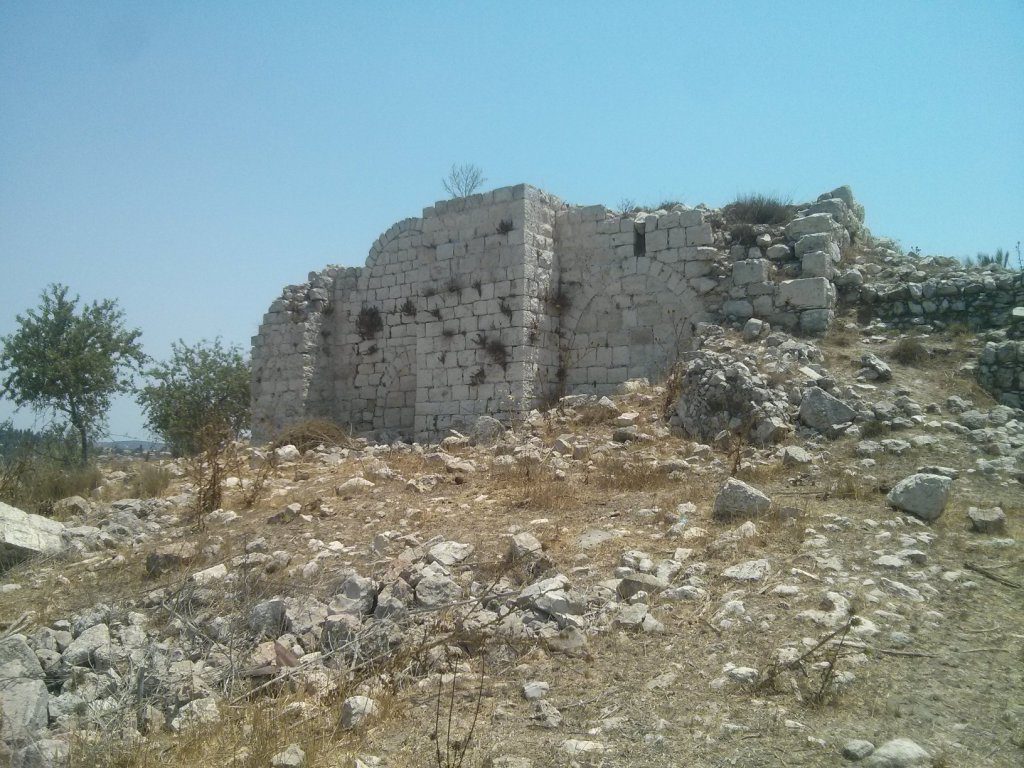 The castle ruins from around