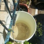 Main water tank collecto - garden