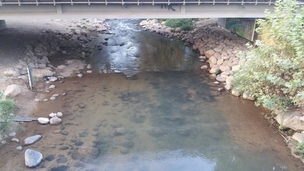 The stream under the bridge