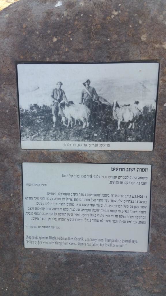 Hamra the village of the sheperds: Ephraim Eliash, Feldman Dov amd Gozshik. Located a couple of kilometers from Kfar Giladi (where today is Mayan Baruch). In 4.1.1920 Trumpledur wrote in his diary: "Pillars of fire were seen rising from Hamra; Somene said "Hamra is gone". The word gone shivered our hearts. The idea that Tel-Hai and Kfar Giladi was in the air. "We won't give Tel-Hai and Kfar Giladi easily" someone said. and the another answered: Hamra has fallen, but it will be rebuilt".