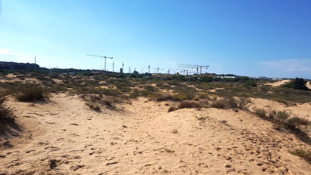 Getting closer to the sea, the stream past the sand on the sea shore. You can see Palmachim desalination facility.