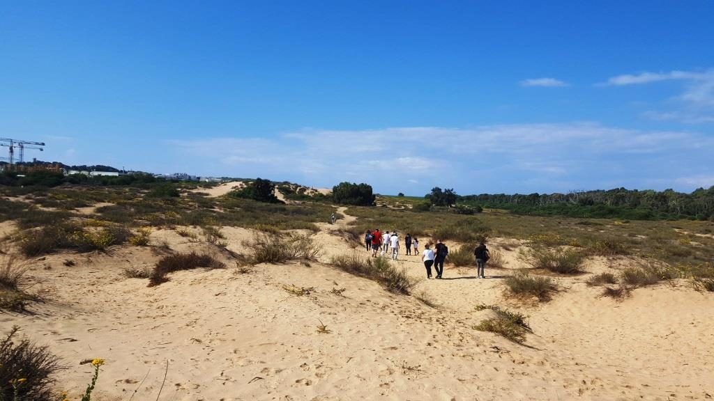 Getting closer to the sea, the stream past the sand on the sea shore. You can see Palmachim desalination facility.