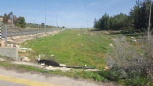  piece of land, that spreads all the way to the last tree on the right of the picture - ready for just another day in susya