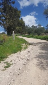  Walking along the fences of the monastery and Israel National trail signs