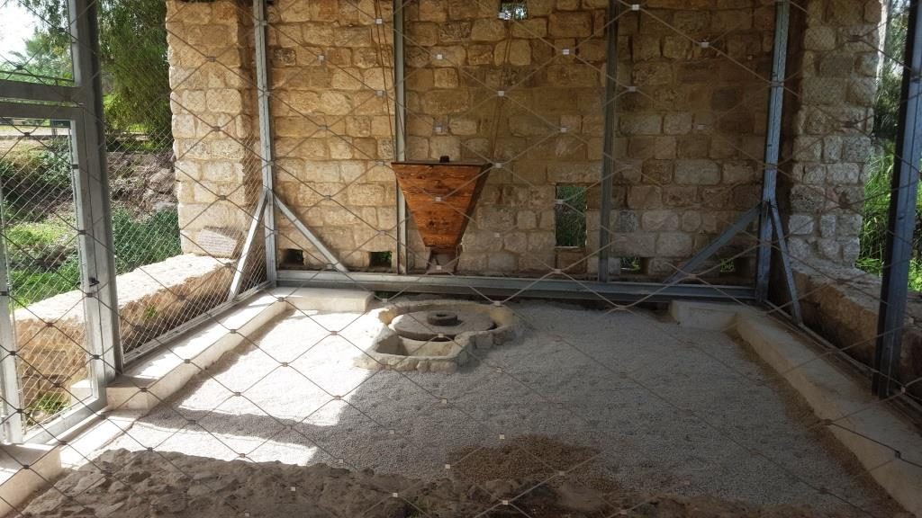 A new reconstructed flour mill with the millstone. The top is a rock from the Golan Heights while the bottom one is a local limestone.