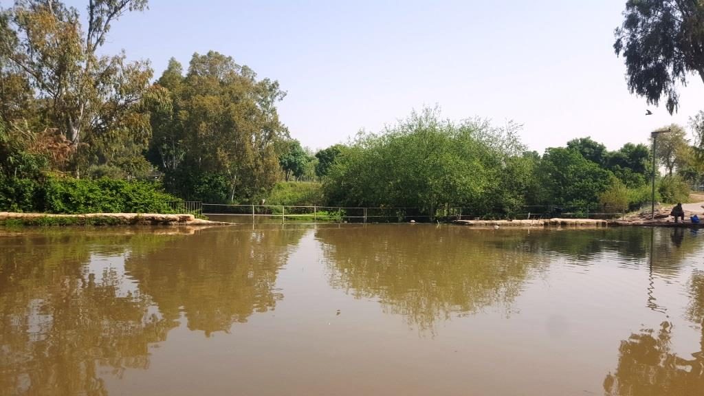 The rest of the water flowing in the river are pour over the edge of the weir