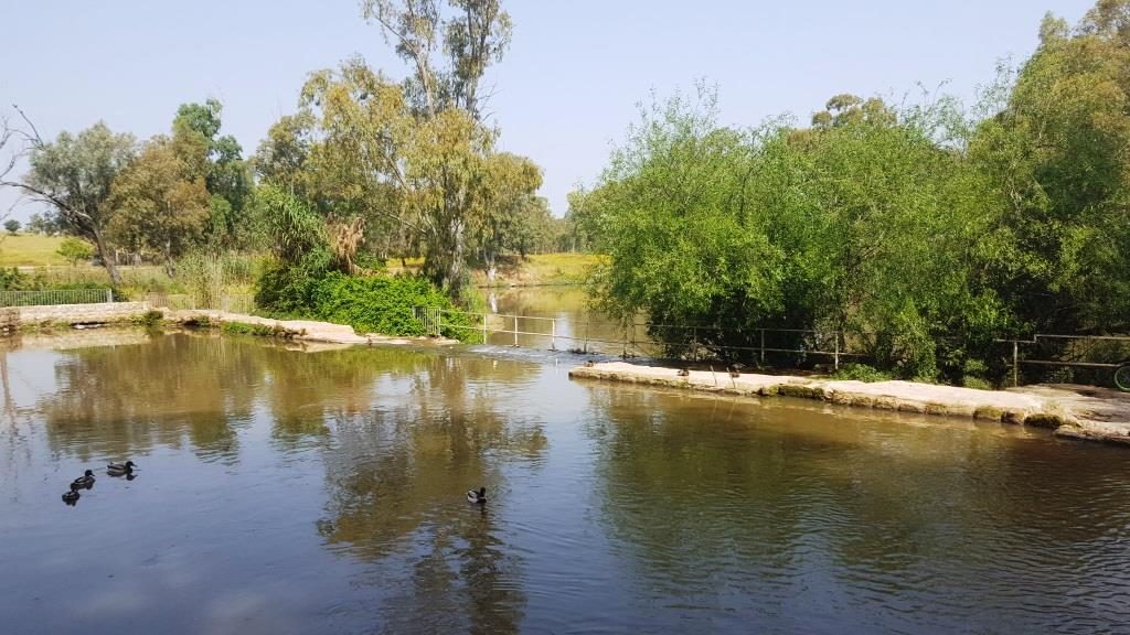 The rest of the water flowing in the river are pour over the edge of the weir