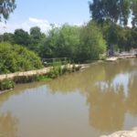 The rest of the water flowing in the river are pour over the edge of the weir